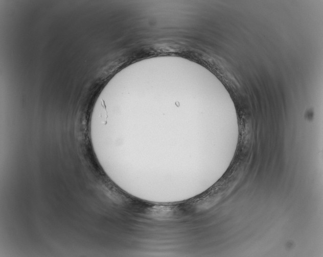 X0000116890418201001121347