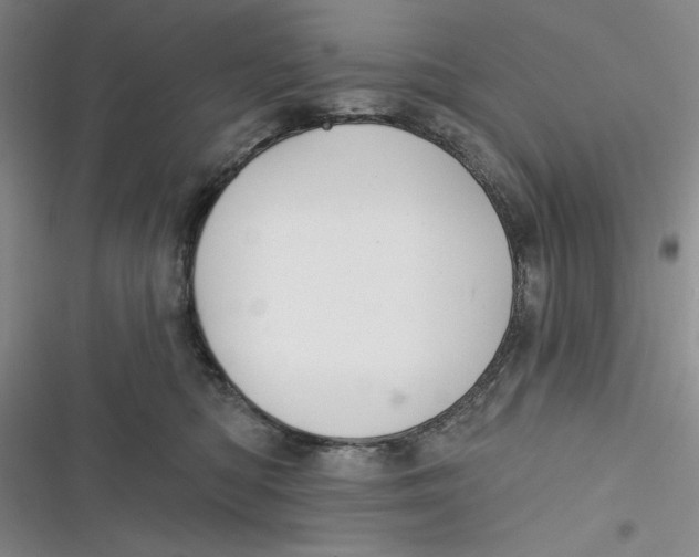 X0000116890422201001121347