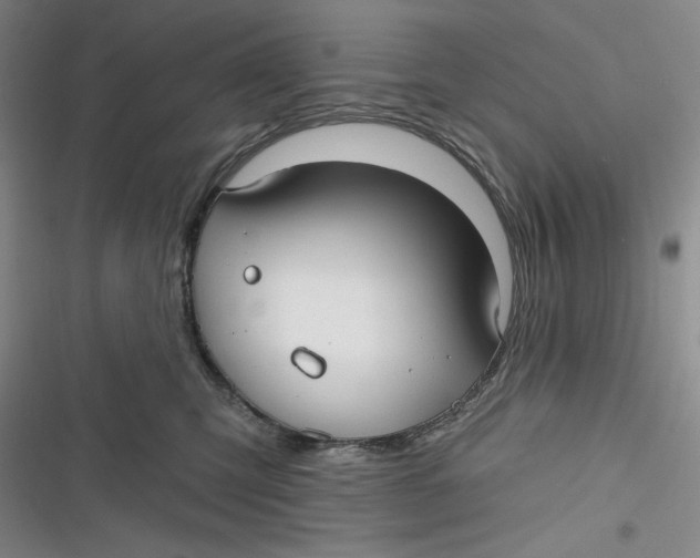 X0000116890423201001121347