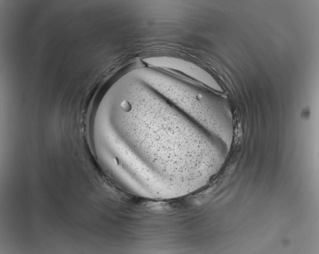 X0000116890424201001121347