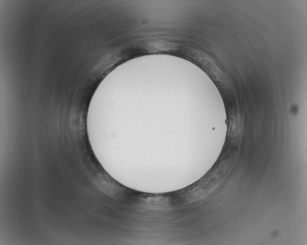 X0000116890426201001121347