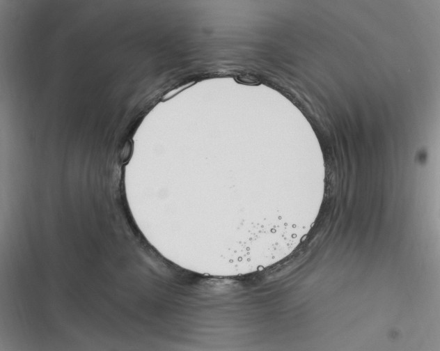 X0000116890427201001121347