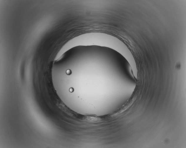 X0000116890429201001121347