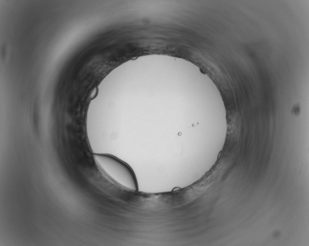 X0000116890430201001121347