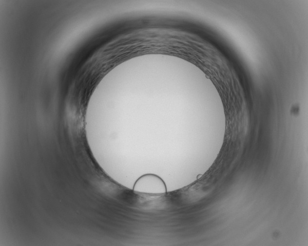 X0000116890431201001121347