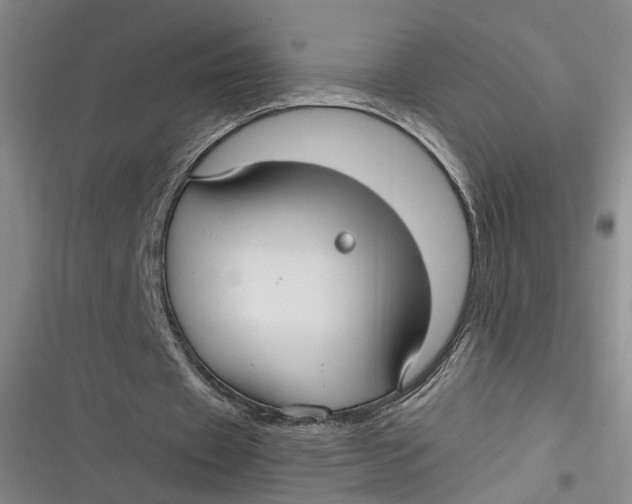 X0000116890433201001121347