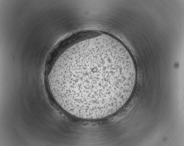 X0000116890434201001121347