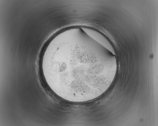 X0000116890436201001121347