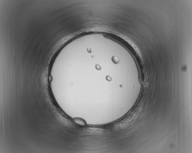 X0000116890437201001121347