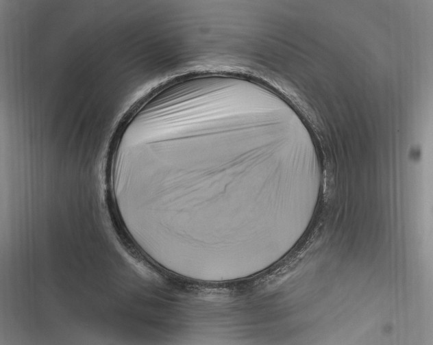 X0000116890438201001121347