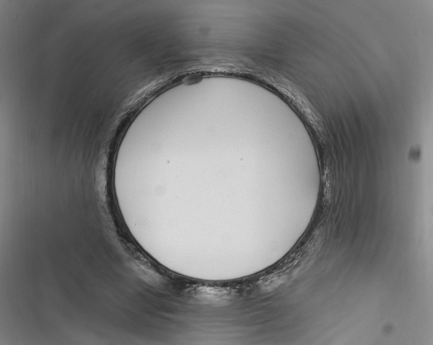 X0000116890442201001121347