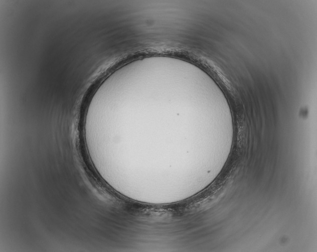 X0000116890443201001121347