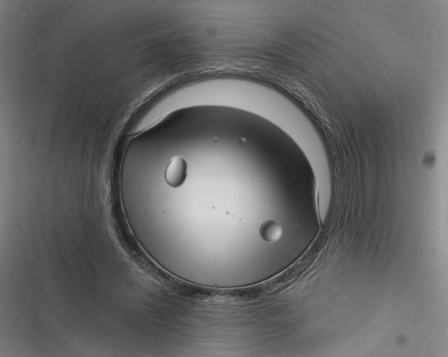 X0000116890444201001121347