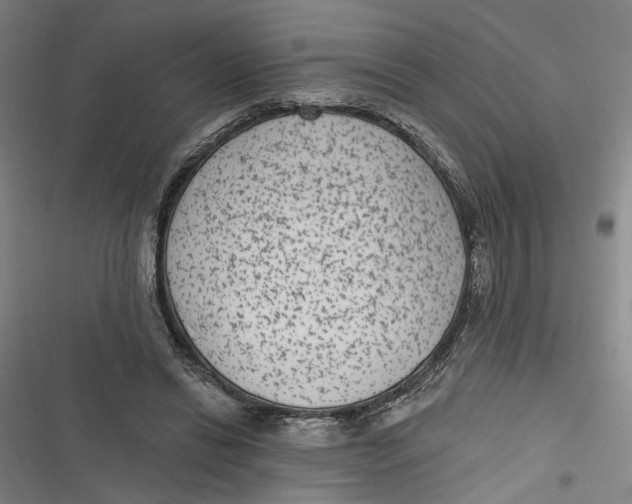 X0000116890446201001121347