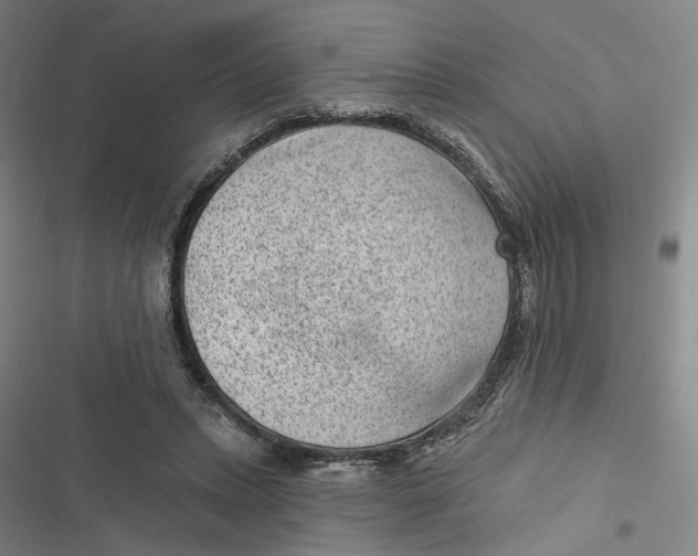 X0000116890447201001121347