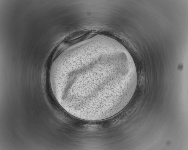 X0000116890448201001121347