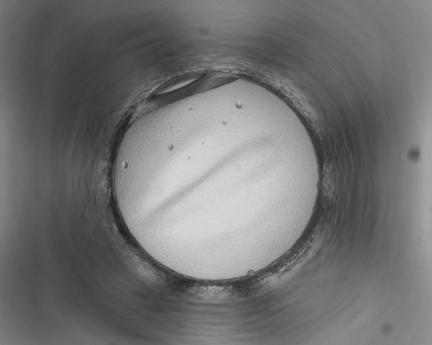 X0000116890449201001121347