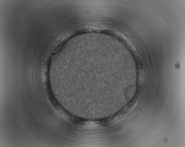 X0000116890451201001121347