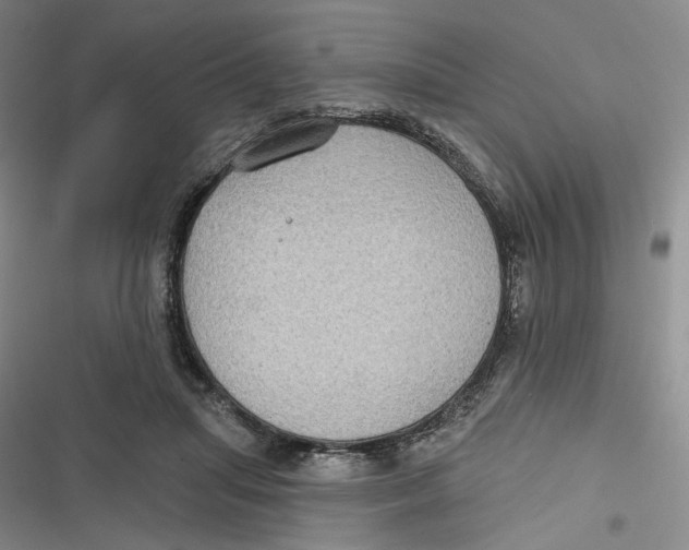 X0000116890455201001121347