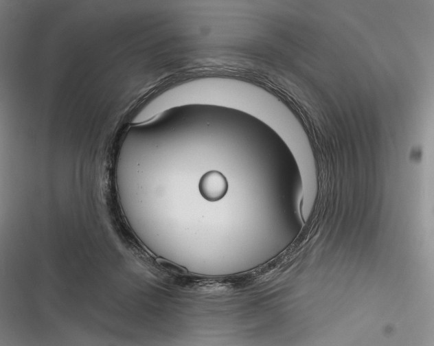 X0000116890456201001121347