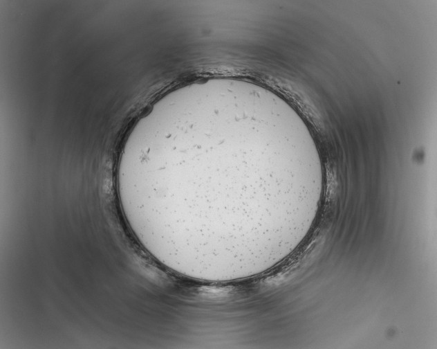 X0000116890457201001121347