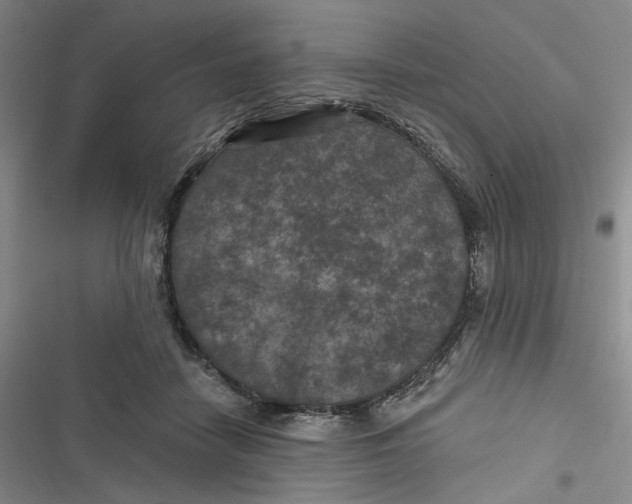 X0000116890458201001121347