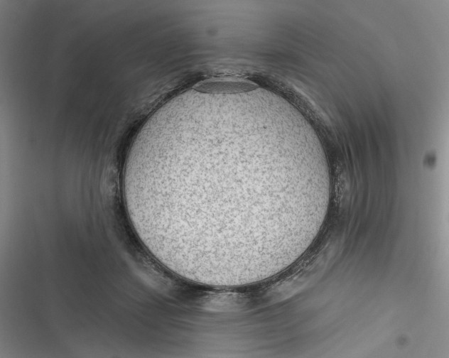 X0000116890459201001121347