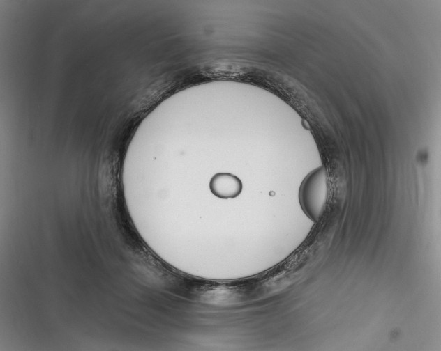 X0000116890460201001121347