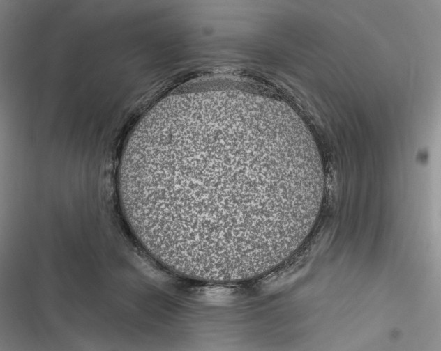 X0000116890462201001121347