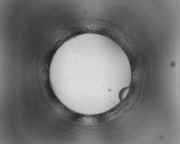 X0000116890464201001121347