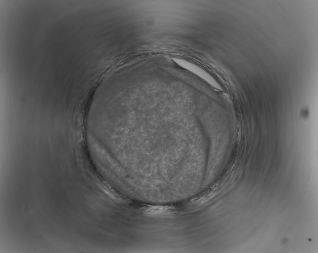 X0000116890465201001121347