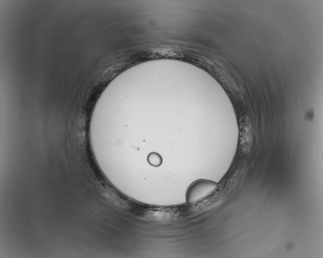 X0000116890466201001121347