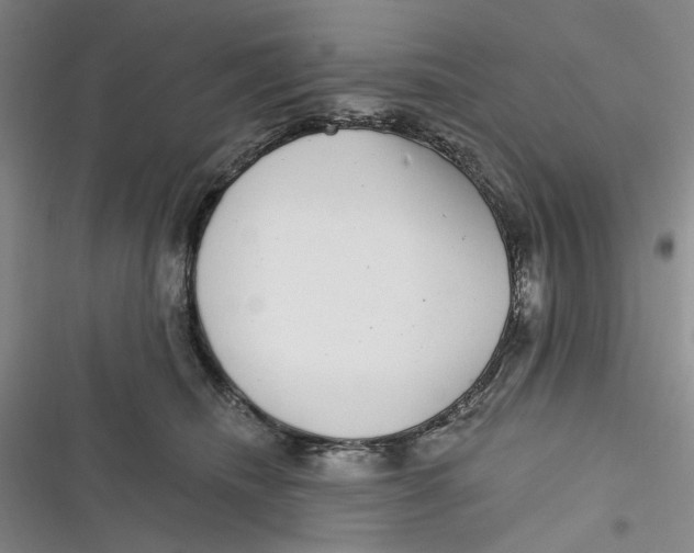 X0000116890468201001121347