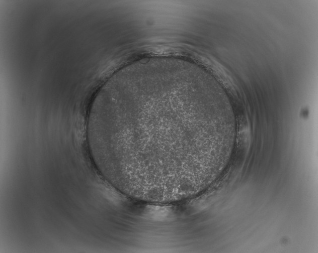 X0000116890469201001121347