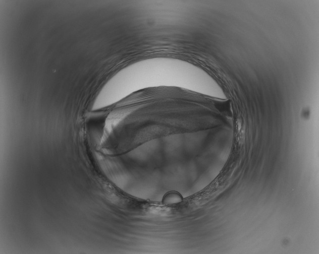 X0000116890471201001121347