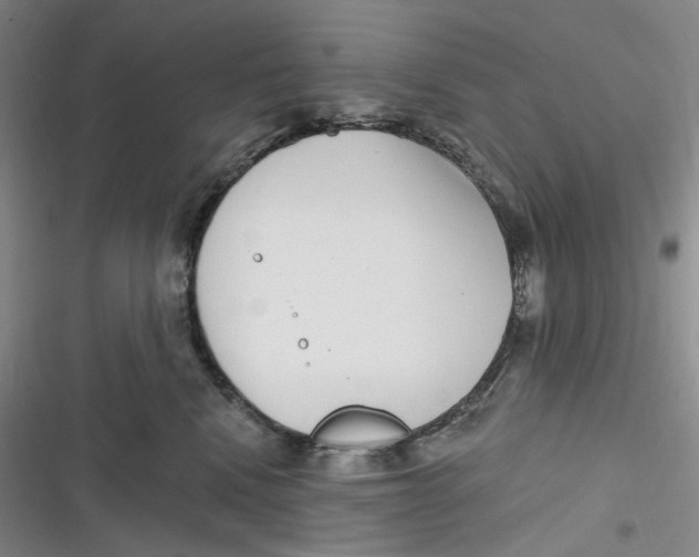 X0000116890472201001121347