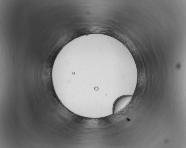 X0000116890473201001121347