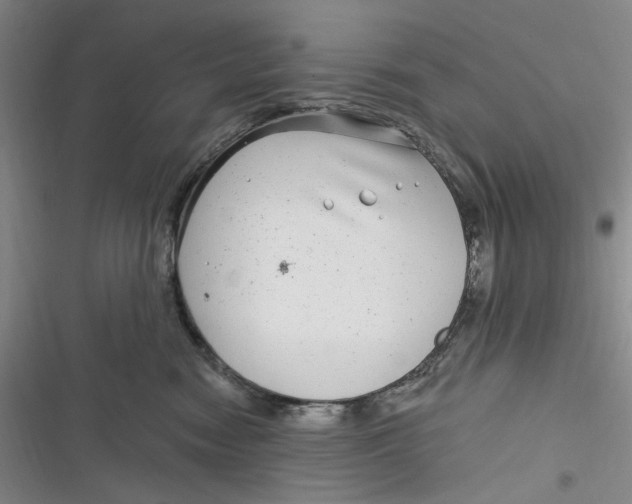 X0000116890474201001121347