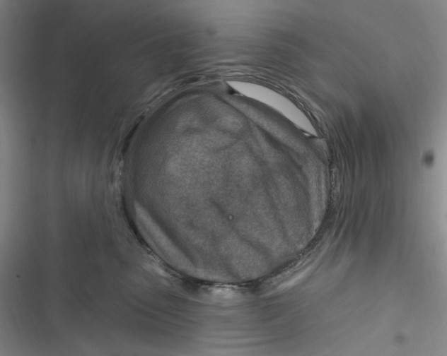 X0000116890475201001121347