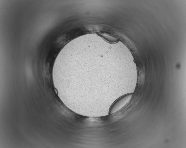 X0000116890477201001121347