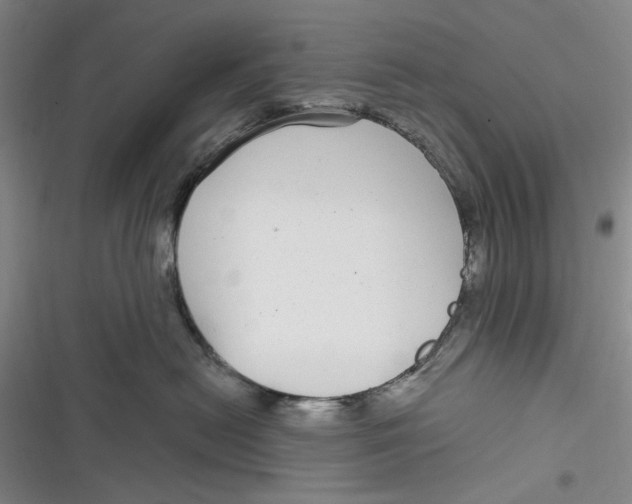 X0000116890478201001121347