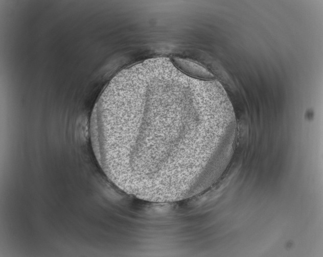 X0000116890479201001121347