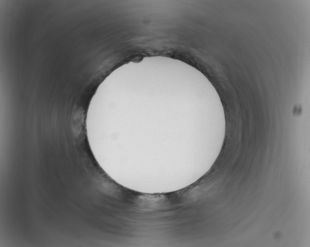 X0000116890480201001121347