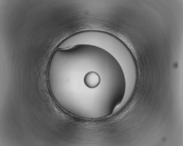 X0000116890481201001121347