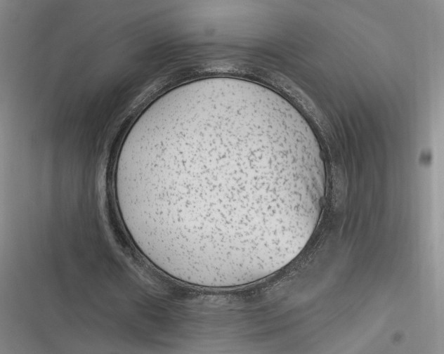 X0000116890482201001121346