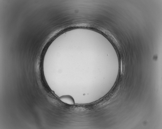 X0000116890483201001121346