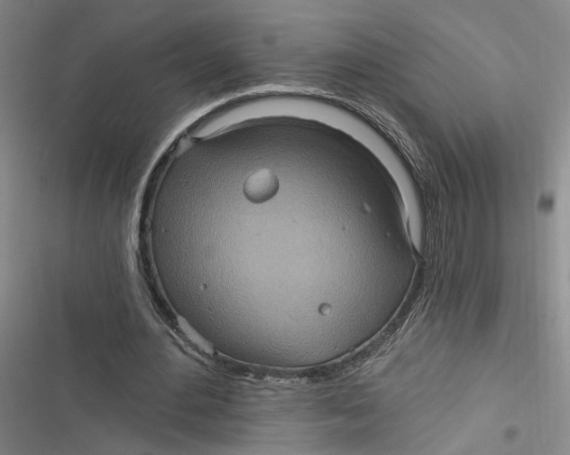 X0000116890484201001121346