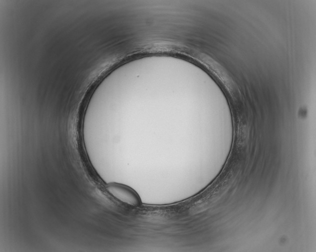 X0000116890485201001121346