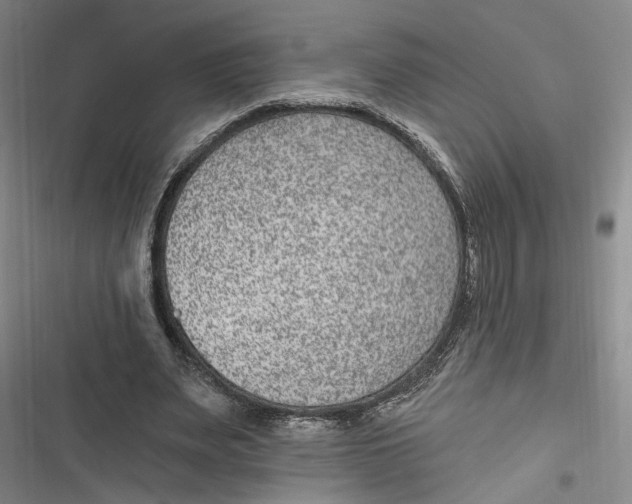 X0000116890487201001121346