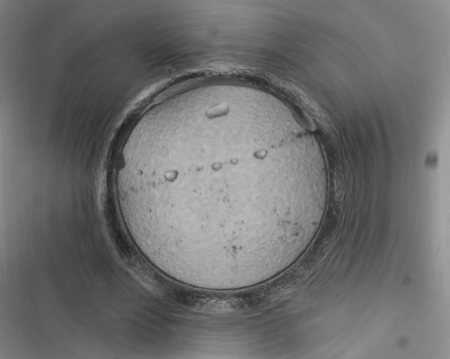 X0000116890488201001121346